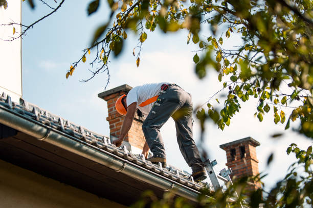 Best Emergency Roof Repair  in Sistersville, WV
