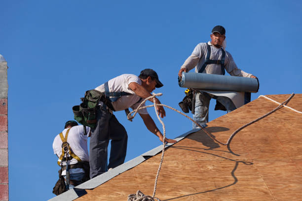 Best Metal Roofing Contractor  in Sistersville, WV