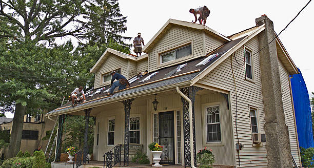 Best Roof Maintenance Services  in Sistersville, WV
