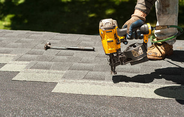 Best Roof Gutter Cleaning  in Sistersville, WV