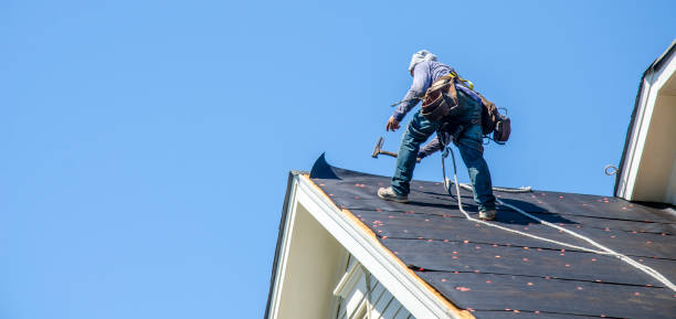 Best Roof Leak Repair  in Sistersville, WV
